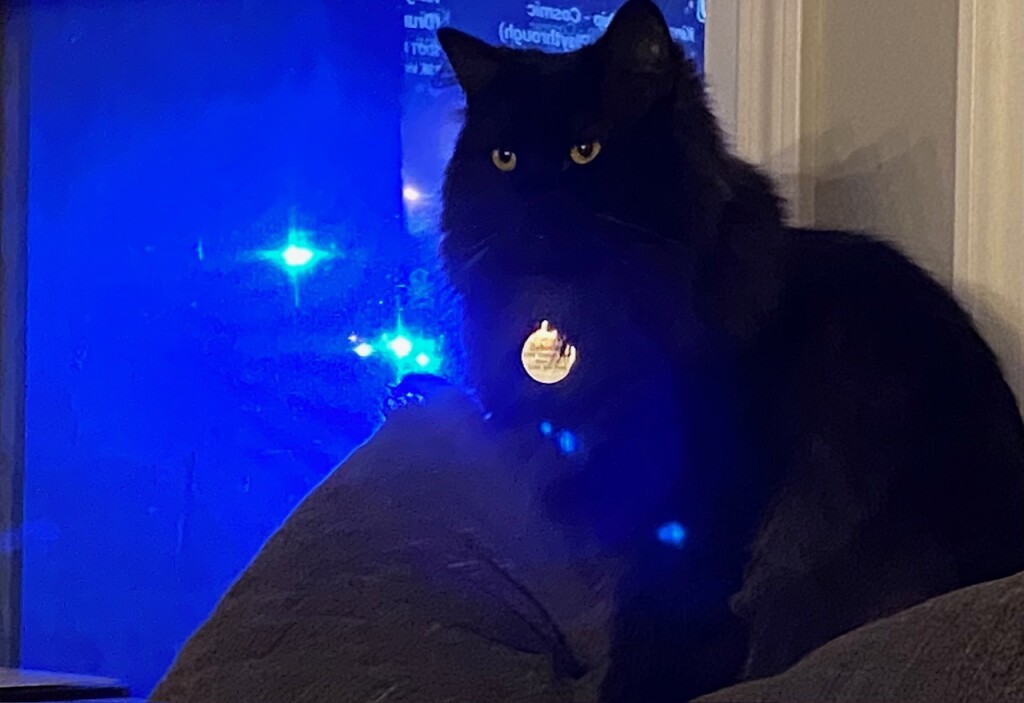 Sebastian